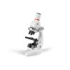 Jogo Didático Para As Crianças Microscope
