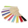 Mynor Fan