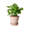 Lápiz Sprout™