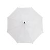 Erie Umbrella
