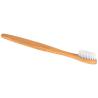 Escova De Dentes Bambu