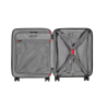 Trolley Legacy - DC Carry-On Wenger®