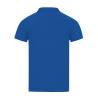 Polo Adulte Couleur Charles