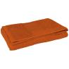 Sponge Towel