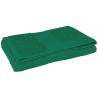 Sponge Towel