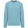 Sweatshirt éco-responsable col rond oversize unisexe Native Spirit®