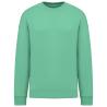 Sweatshirt éco-responsable col rond oversize unisexe Native Spirit®