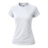Camiseta Mujer Cocker