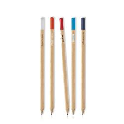 Crayon de charbon Pinty