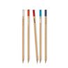 Crayon de charbon Pinty