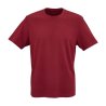 T-shirt Unisexe 100% Coton Biologique Jersey Tamariz