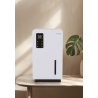 Desumidificador e Purificador de Ar Prixton Aura 2 em 1