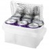 Thermal bag for 6 cans Spectrum