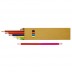 Bicolour pencil 12 colours