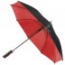 Paraguas Birain